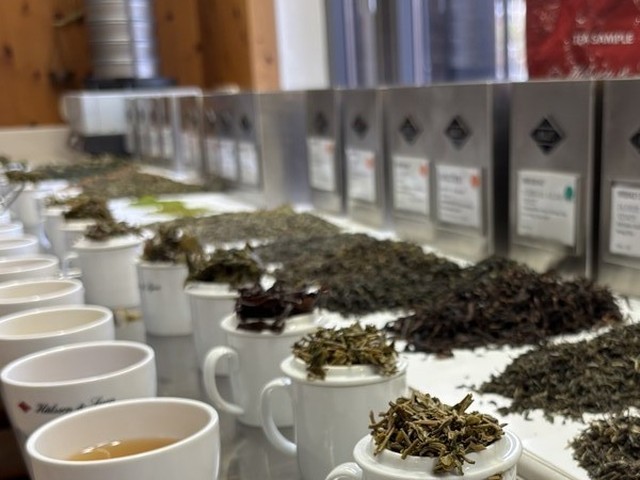 AlumniOnSite | Hälssen & Lyon