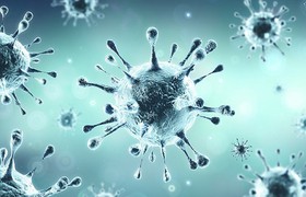 Webinar zu den neuen gesetzlichen Regelungen der Coronakrise