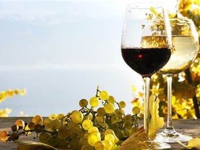 AfterWork Networking | Summerwine-Tasting bei Jacques